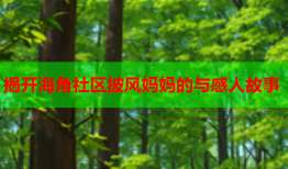 揭开海角社区披风妈妈的与感人故事
