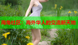海角社区：海外华人的交流新天地