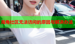 海角社区无法访问的原因与解决办法