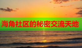 海角社区的秘密交流天地