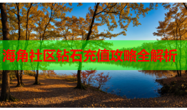 海角社区钻石充值攻略全解析