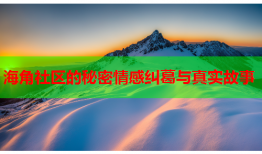 海角社区的秘密情感纠葛与真实故事