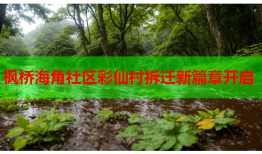 枫桥海角社区彩仙村拆迁新篇章开启