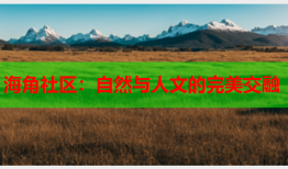 海角社区：自然与人文的完美交融