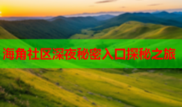 海角社区深夜秘密入口探秘之旅