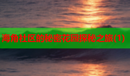 海角社区的秘密花园探秘之旅(1)