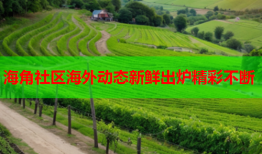 海角社区海外动态新鲜出炉精彩不断