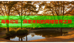 海角论坛：探索未知的网络世界之旅