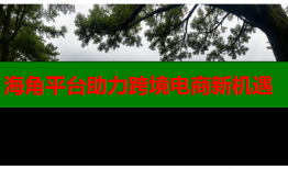 海角平台助力跨境电商新机遇