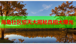 海角社区惊天大揭秘真相大曝光