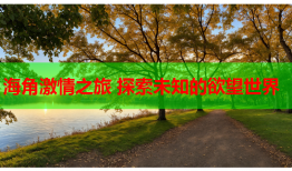 海角激情之旅 探索未知的欲望世界