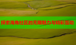 探索海角社区的无限魅力与精彩互动