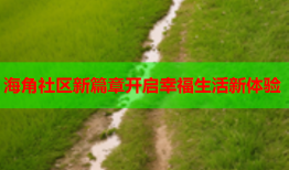 海角社区新篇章开启幸福生活新体验