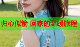 归心似箭 回家的温暖旅程