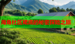海角社区裙底的秘密探险之旅