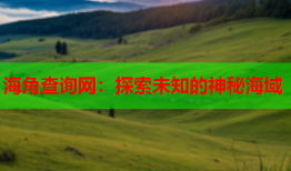 海角查询网：探索未知的神秘海域