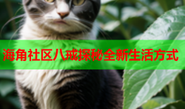 海角社区八戒探秘全新生活方式