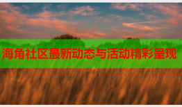 海角社区最新动态与活动精彩呈现