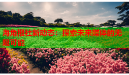 海角报社新动态：探索未来媒体的无限可能