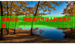 海角论坛：连接海内外华人的交流平台