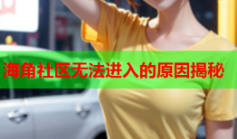 海角社区无法进入的原因揭秘