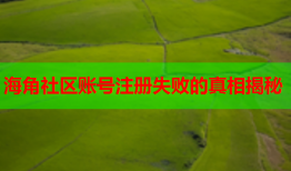 海角社区账号注册失败的真相揭秘