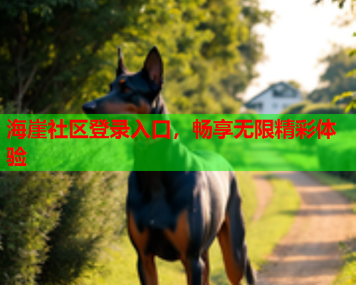 海崖社区登录入口，畅享无限精彩体验