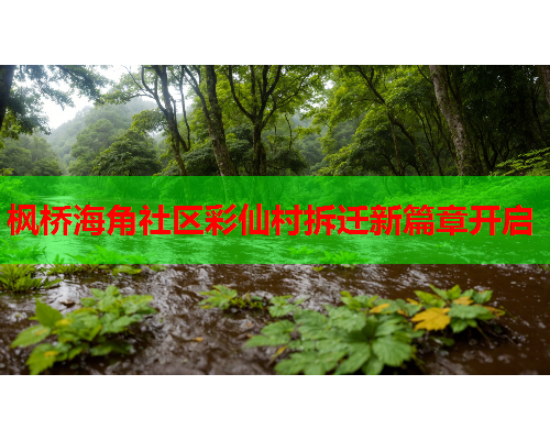 枫桥海角社区彩仙村拆迁新篇章开启