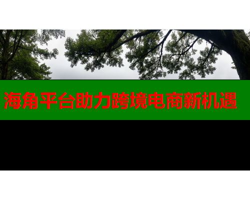 海角平台助力跨境电商新机遇