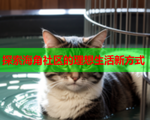 探索海角社区的理想生活新方式
