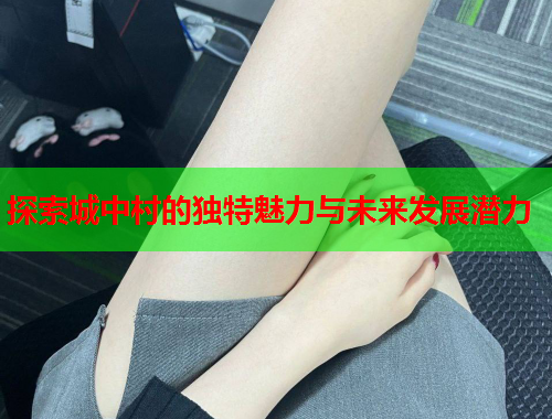 探索城中村的独特魅力与未来发展潜力