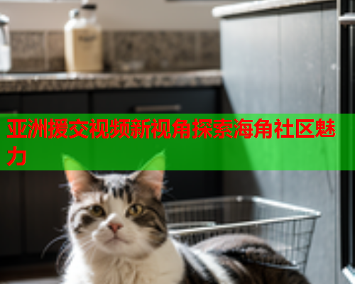 亚洲援交视频新视角探索海角社区魅力