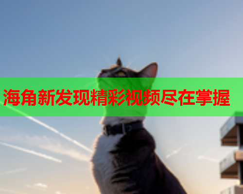 海角新发现精彩视频尽在掌握