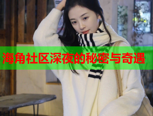 海角社区深夜的秘密与奇遇