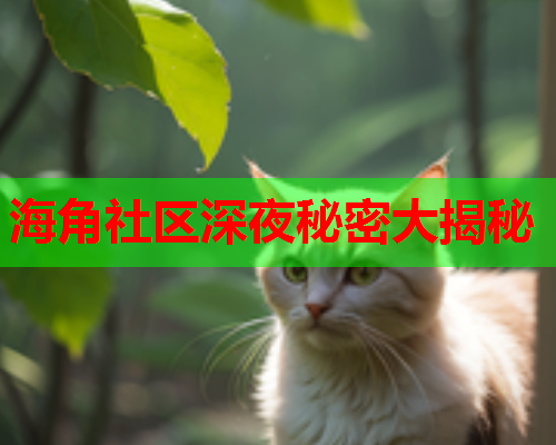 海角社区深夜秘密大揭秘