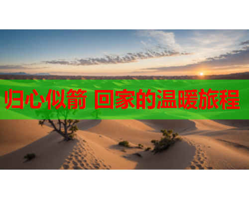 归心似箭 回家的温暖旅程