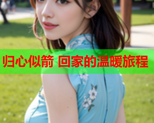 归心似箭 回家的温暖旅程