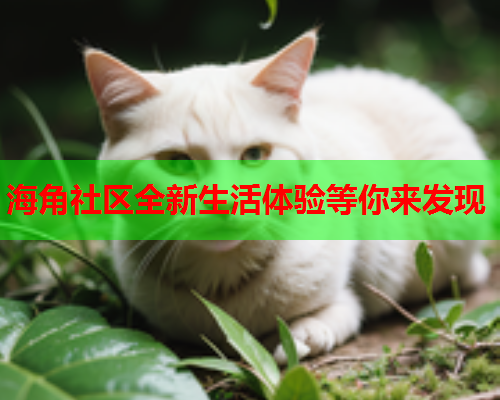 海角社区全新生活体验等你来发现