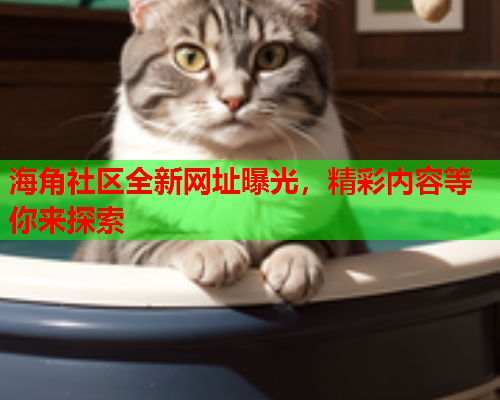 海角社区全新网址曝光，精彩内容等你来探索