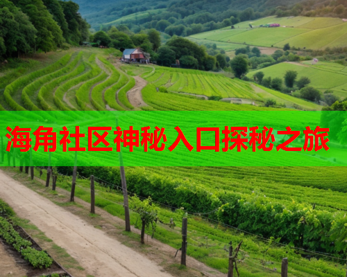 海角社区神秘入口探秘之旅