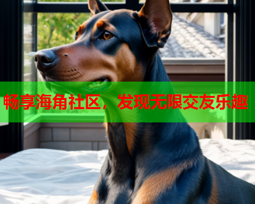 畅享海角社区，发现无限交友乐趣