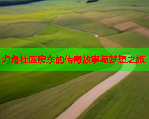 海角社区房东的传奇故事与梦想之旅