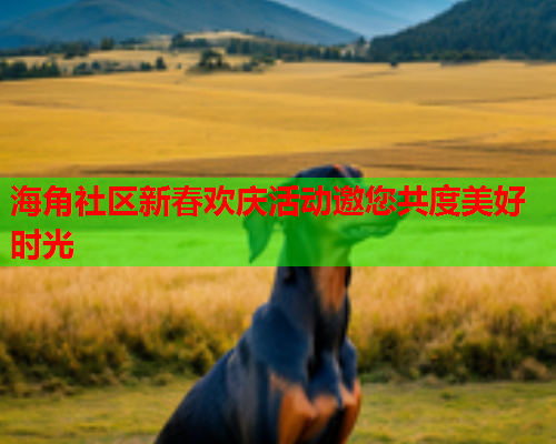 海角社区新春欢庆活动邀您共度美好时光