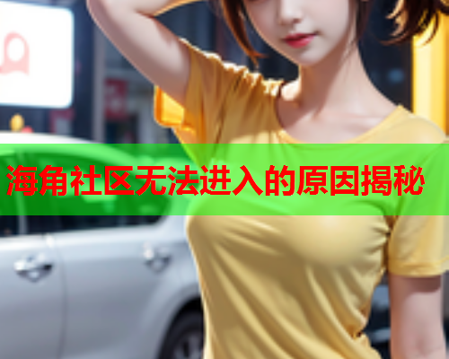 海角社区无法进入的原因揭秘