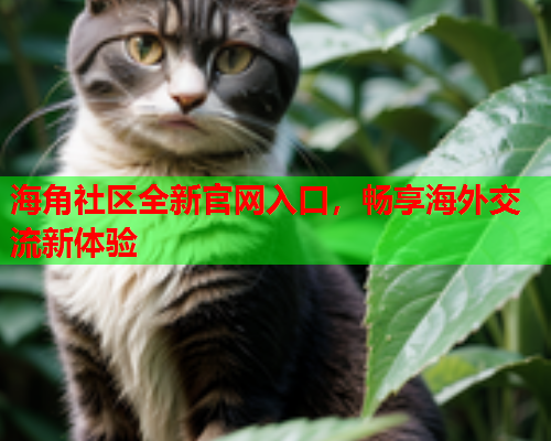 海角社区全新官网入口，畅享海外交流新体验