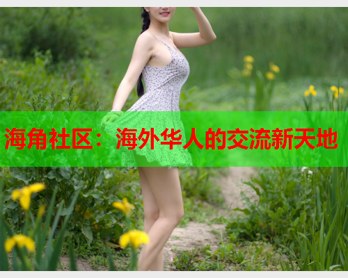 海角社区：海外华人的交流新天地