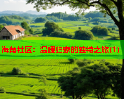海角社区：温暖归家的独特之旅(1)