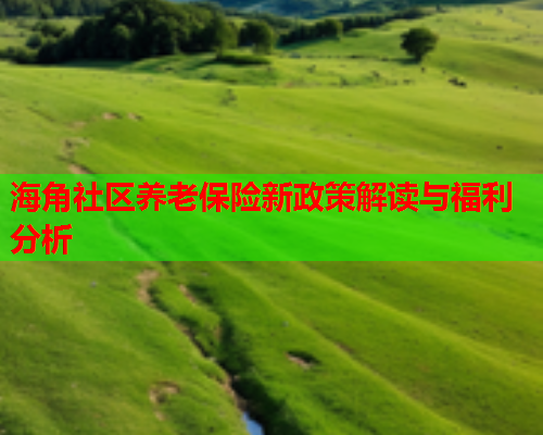 海角社区养老保险新政策解读与福利分析